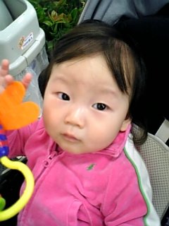 お出かけの様子